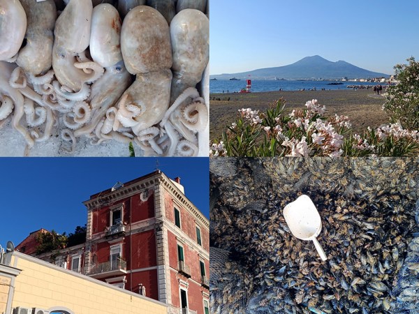 O’ purpo, o’ Vesuvio, o’ palazzo russ e e’&nbsp;cozze